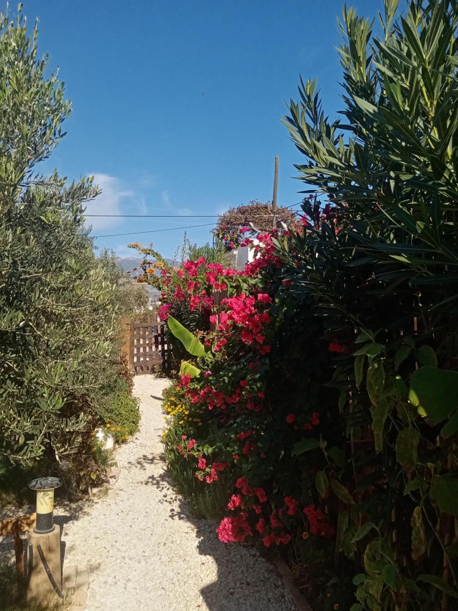 Riviera Evleri 2 * Demre